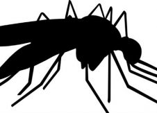 80% of your Credit Union’s Members are Blood-Sucking Parasites