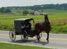 Amish vs CU Marketing: Is Their Budget Outpacing Yours?
