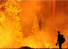 The Yosemite Fire: A Disaster Preparedness Reminder