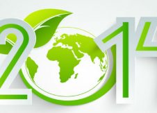 Why you should go green in 2014