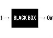 Big data/analytics: The curse of the black box