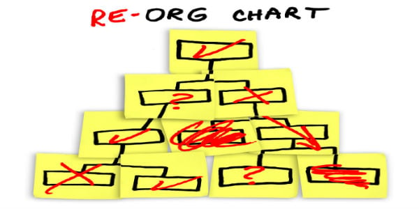 Credit Union Organizational Chart