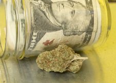 Marijuana banking: Judge dismisses credit union lawsuit against Federal Reserve