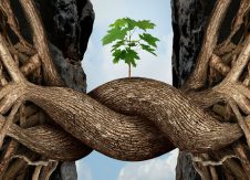Branches aren’t dead yet, invigorate your growth with mergers