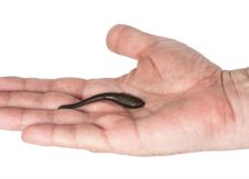 Leader or leech? 5 ways to tell