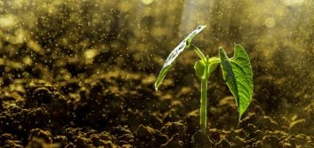 Harvesting resilience from the seeds of disruption