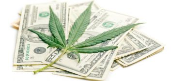 Pot execs testify about being shut out of the financial system: It’s ‘federal chaos’