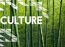 Why culture is critical to your success