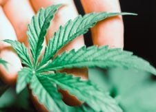 Supporting the community and gaining a competitive advantage through cannabis banking