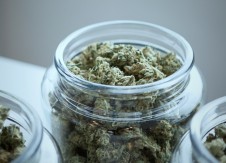 ABA to Crapo: Focus on marijuana banking issues