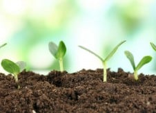 The three things growing credit unions are good at