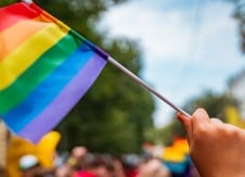 Diversity Insight: Do you have CU Pride?