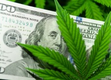 Cannabis lending doesn’t necessarily mean higher credit risk