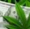 The state of cannabis banking in the credit union space