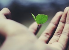 Beyond BI: Post-pandemic credit union growth strategies