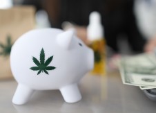 Cannabis banking: How well do you know your members?