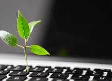 Digital is not always green: 5 ways to be environmentally responsible in the digital space