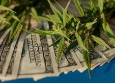 Will cannabis banking risk remain after federal recognition?