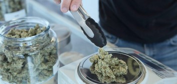 Cannabis banking myths and misconceptions