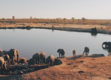 International CU development: Lessons in strategic planning from Zimbabwe freedom fighters