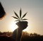 Cannabis banking bill advanced out of committee; efforts to fund gov’t continue