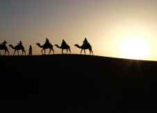 CFO Focus: A timely reminder about CAMELS