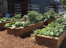 HR Answers: Gardening program provides sustainable wellness and engagement