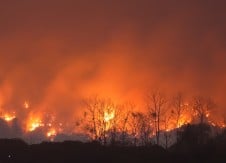 Homeowners’ insurance and personal property coverage for wildfires