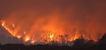 Homeowners’ insurance and personal property coverage for wildfires