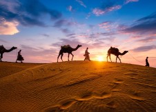 From CAMEL to CAMELS