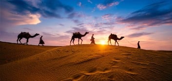 From CAMEL to CAMELS