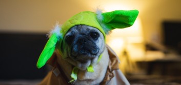 The imposter complex and how I conquered it