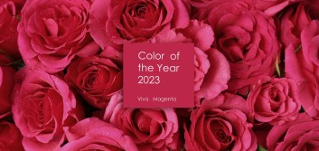Viva magenta! What the 2023 Pantone® Color of the Year brings to credit unions
