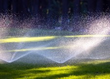 Overturn turnover by watering your lawn