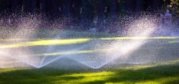 Overturn turnover by watering your lawn