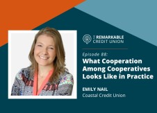 What cooperation among cooperatives looks like in practice