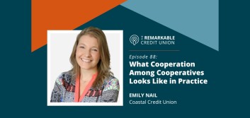 What cooperation among cooperatives looks like in practice