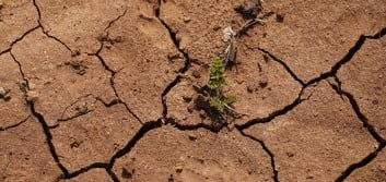 What can be done about the drought of new credit union charters?