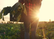 Diversity Insight: Partnering with the Mexican Consulate to serve farm workers