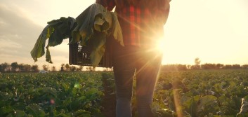 Diversity Insight: Partnering with the Mexican Consulate to serve farm workers