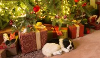 White Elephant v. Secret Santa in credit union marketing