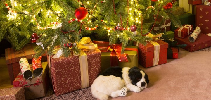 White Elephant v. Secret Santa in credit union marketing