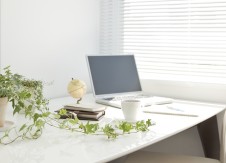 Nature-friendly changes to make for a sustainable office space