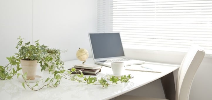 Nature-friendly changes to make for a sustainable office space