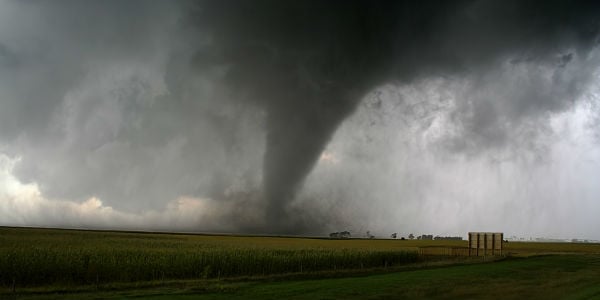 31888-2de651f8