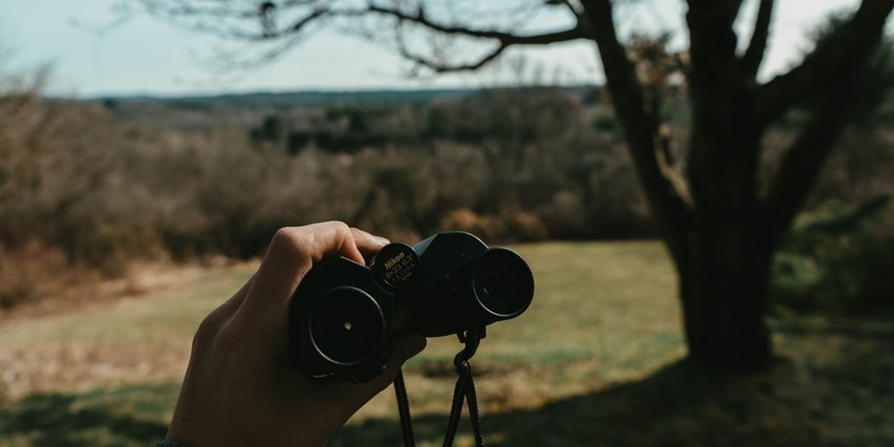 CEO Connect – 2021-01 – llf-ZLTC49M-unsplash
