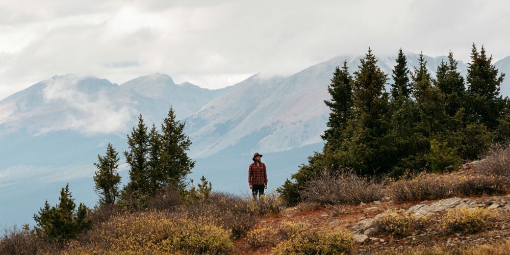 Death_to_stock_photography_wild_3