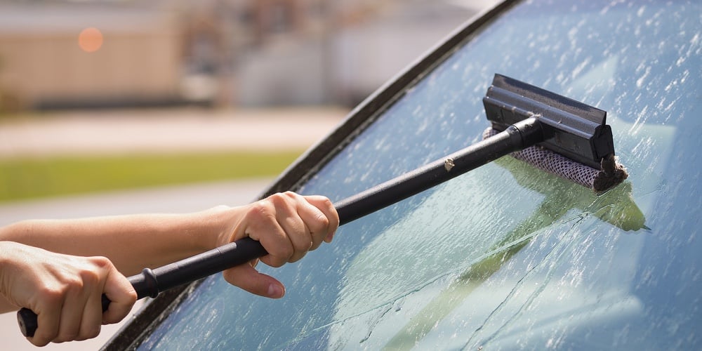 Picture1|A Girl With A Brush In Her Hands Washes The Windshield Of The Car From A Large Number Of Dead Insect