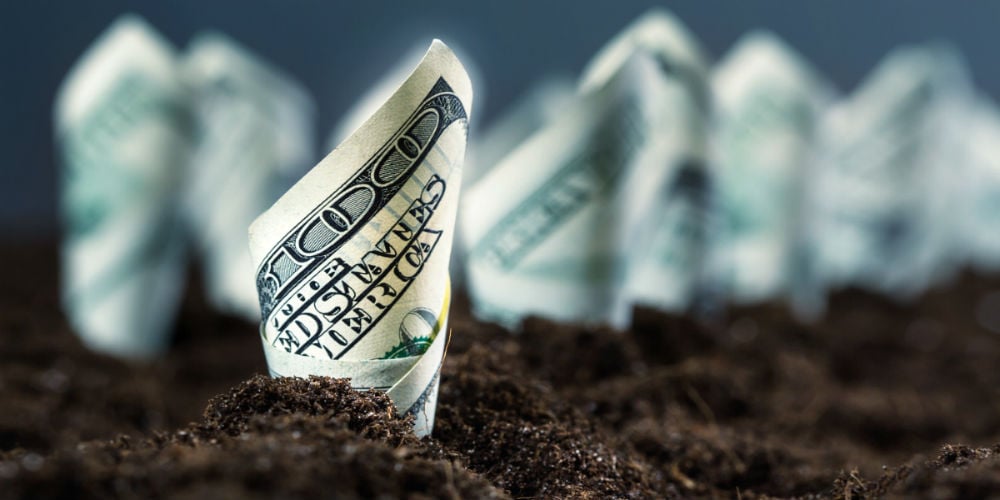 bigstock-American-dollars-grow-from-the-71991481