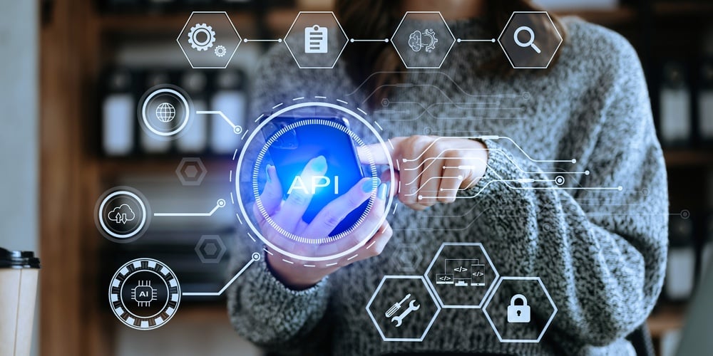 Api Application Programming Interface